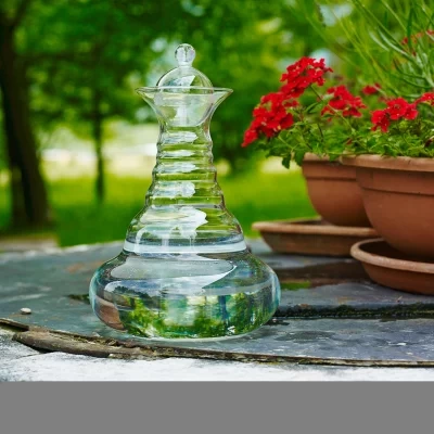 Wasserenergetisierung mit den formvollendeten Glaswaren von Nature's Design