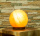Salz-Kugel Lampe mit Holzsockel