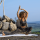 The Spirit Of OM Yoga-Leggings Maui black-nature